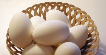Есть ли место гусиным яйцам в рационе человека?